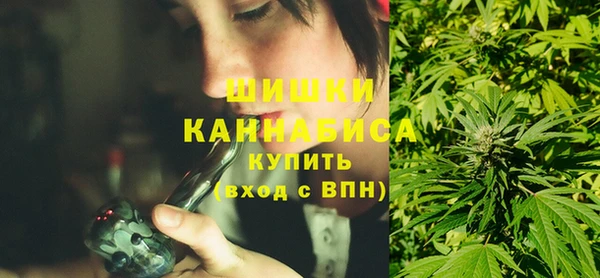 крисы Ветлуга