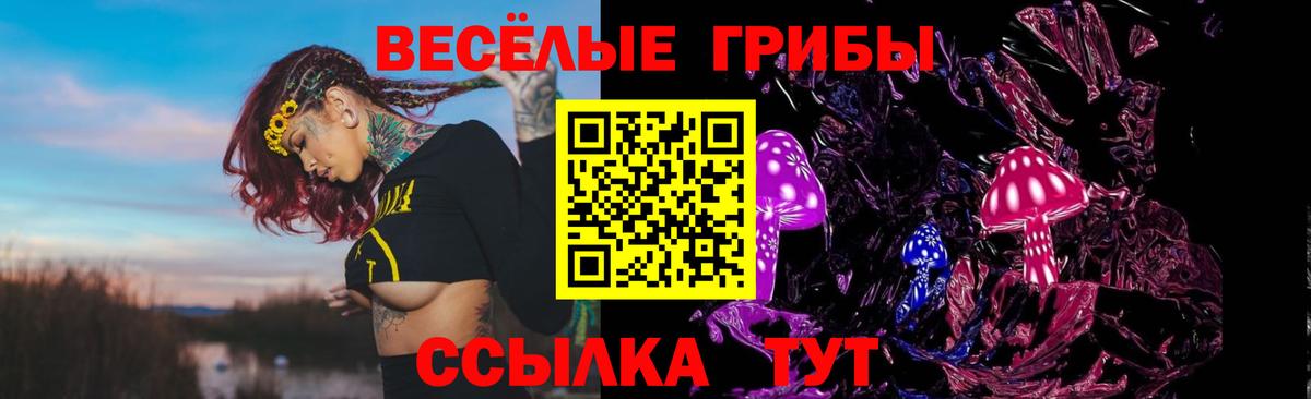 Псилоцибиновые грибы Cubensis Апрелевка